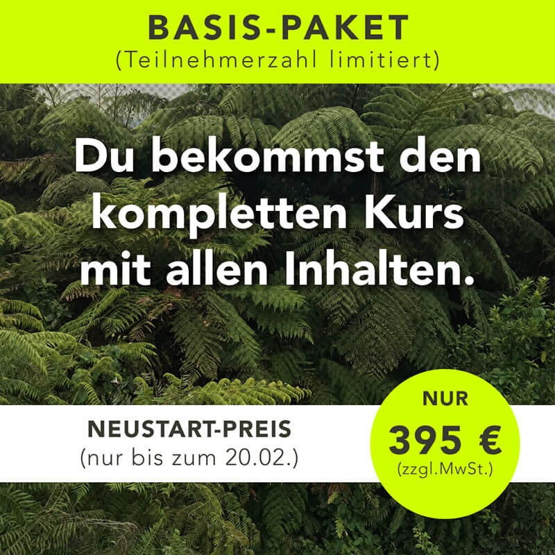 Where is now? Onlinekurs - Basis-Paket