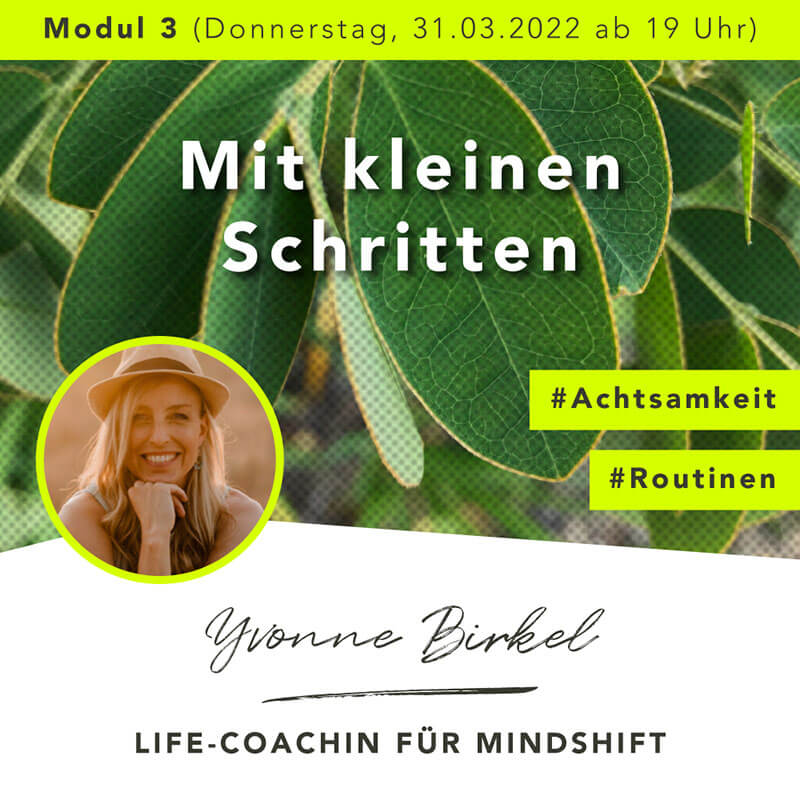 Where is now? Onlinekurs Modul 3 - Mit kleinen Schritten - Yvonne Birkel